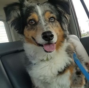 Meet your Posher, Mary